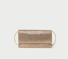 Load image into Gallery viewer, Charlee Flap Clutch
