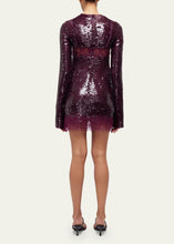 Load image into Gallery viewer, Mako Sequin Lace Mini Dress
