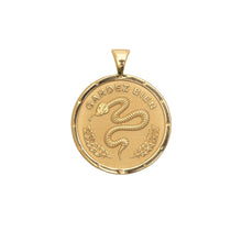 Load image into Gallery viewer, Protect Coin Necklace
